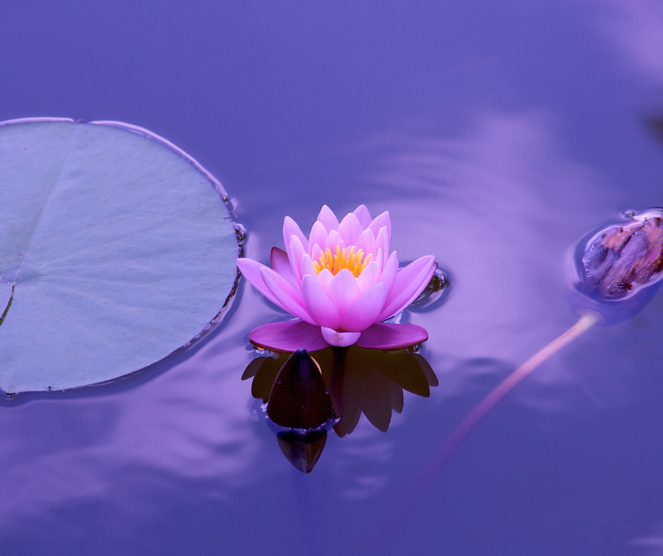 Get to Know Yourself Beyond The Thinking Mind
