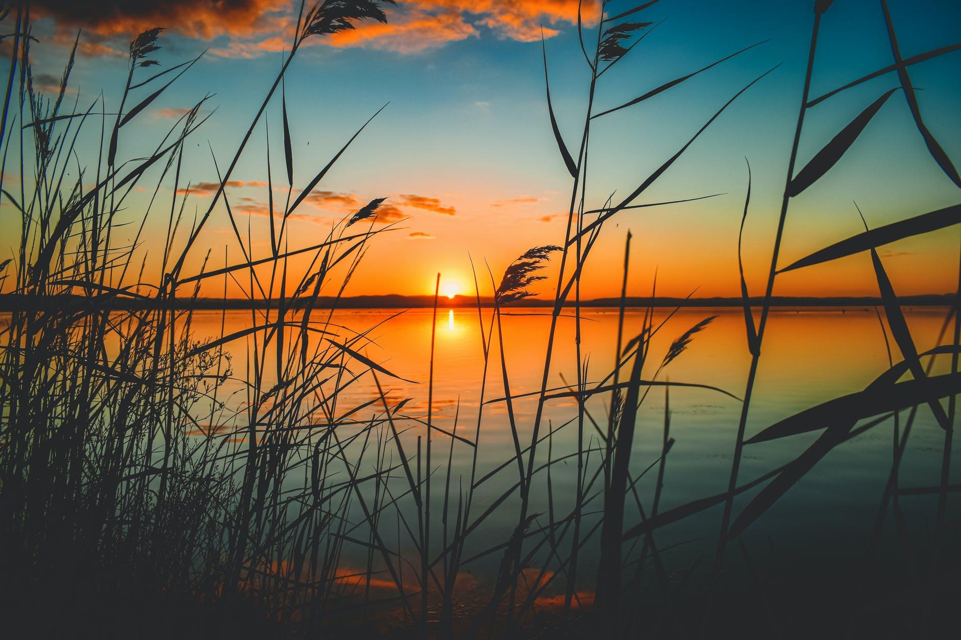 Being Present—The Simple Solution To All Your Problems