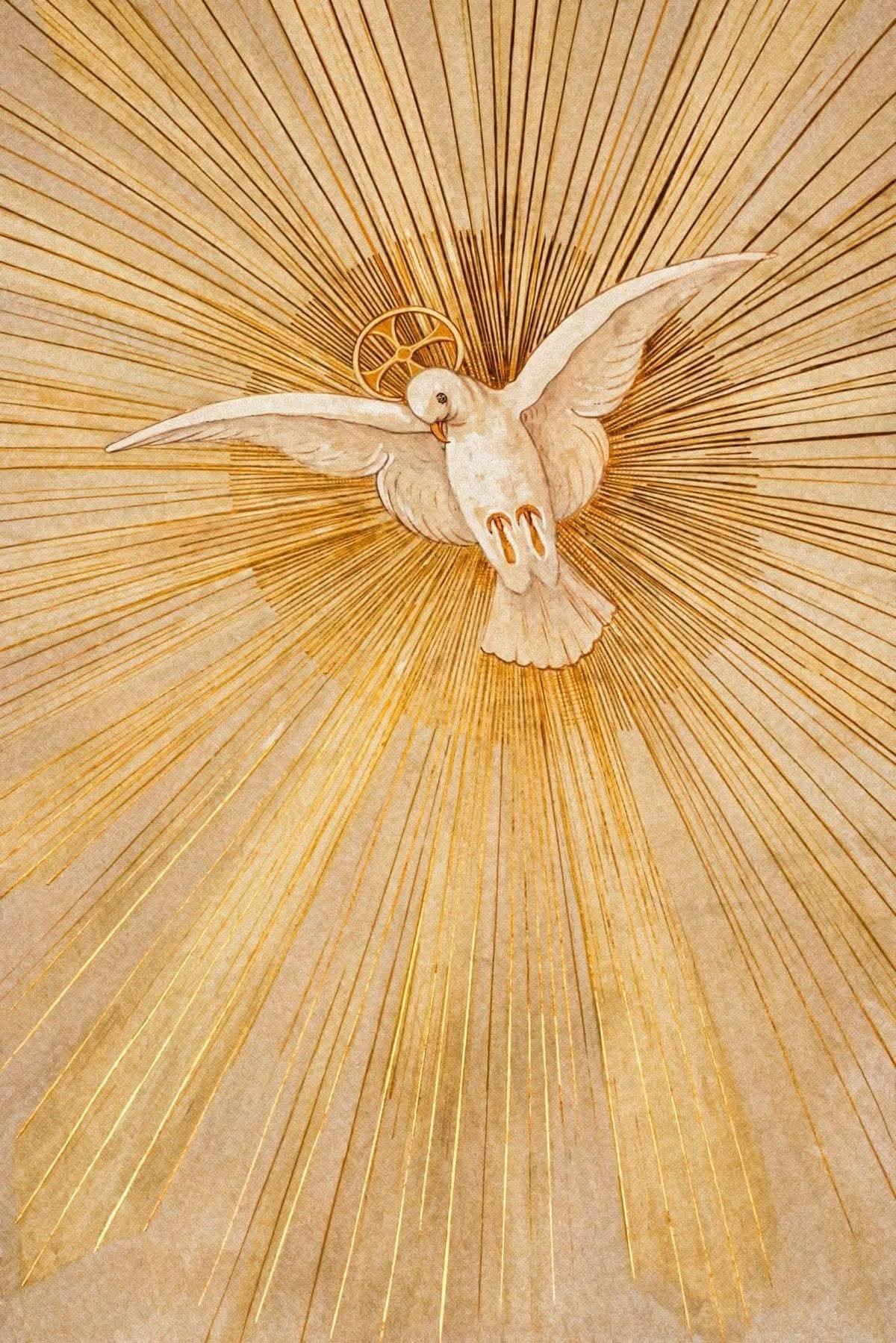 The Dove of Montségur